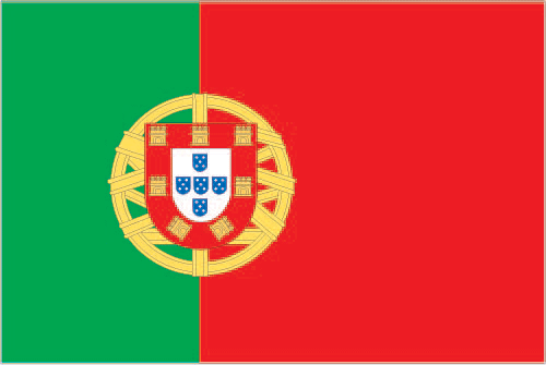 PRT flag